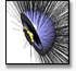 CODEV & LightTools Training